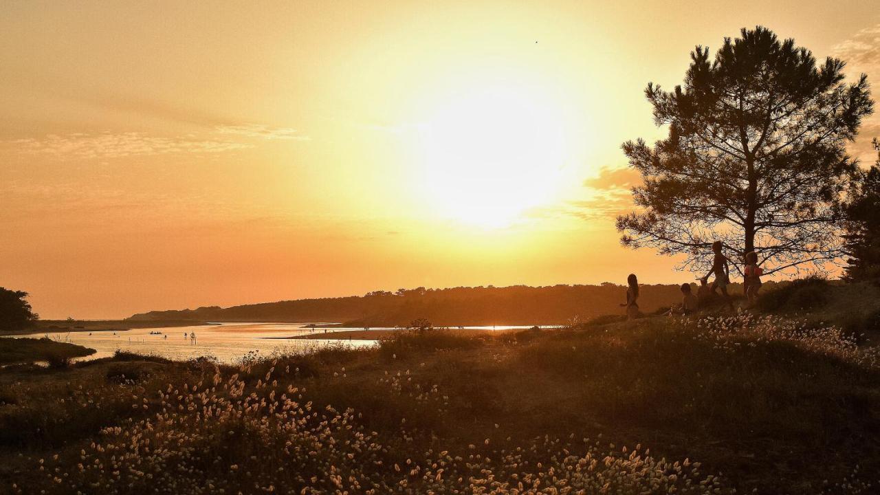 Villa Des Loups De Mer Talmont-Saint-Hilaire Eksteriør billede